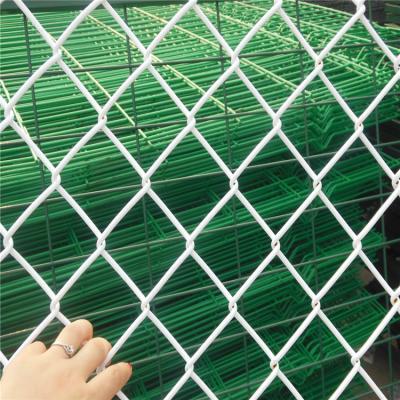 China Flat Surface weaving 5 Feet hot dipped galvanized Diamond Wire Mesh Fencing for sale