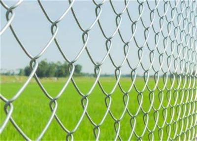 China Hot Dipped 5 Feet 13 Gauge Diamond Wire Mesh Fence for sale