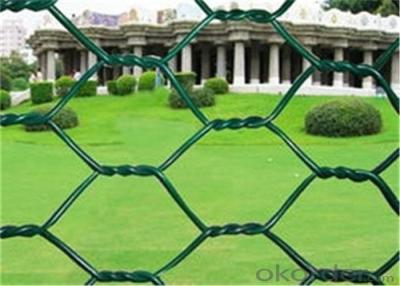 China PVC Coated Width 2.0m BWG22 Diamond Wire Netting for sale