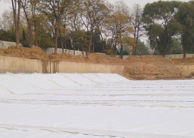 Chine L'aiguille de construction de routes a poinçonné le tissu Geosynthetics perméable ASTM à vendre