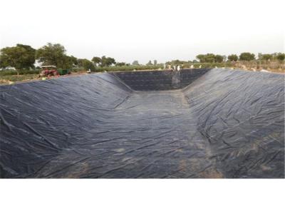 China 0.2mm Polyethylene Geomembrane Shrimp Pond Liner Anti Seepage Pe Tarpaulin for sale