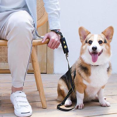 China Hands Free Dog Leash Explosion Proof Heavy Duty Multifunctional Pet Lights Dog Leash For Small Medium Dogs for sale