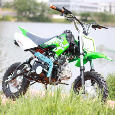 China Hot Sale All Disc Brake Dirt Bike 110CC Motorcycle With 10inch Offroad Wheel CDB110-2 for sale