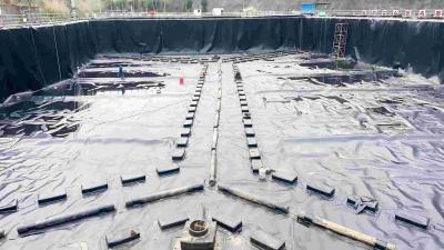 Chine Chemical Resistant HDPE Smooth Geomembrane Ideal for Complex Environments à vendre