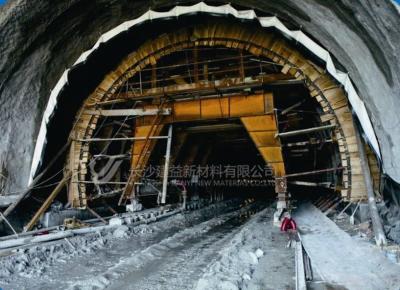 Chine Construction de tunnels et de sous-sols Utilisé comme couche imperméable dans les tunnels, les métros et autres projets de construction souterraine à vendre