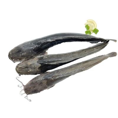 China Hot sale organic for africa price whole round catfish 1000-2000g for sale