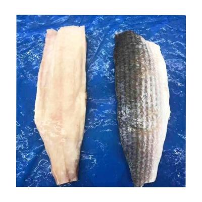 China Organic Origin Frozen Gray Mullet Fillet from China for sale