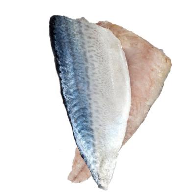 China Organic New Production Frozen Pacific Mackerel Fillet With All Size for sale