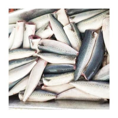 China Good Quality HGT Organic Frozen Pacific Mackerel with All Size for sale