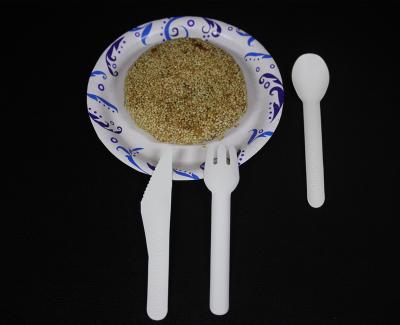 China Cutlery Paper Spoon Fork Knife Paper Biodegradable Paper Sample for sale