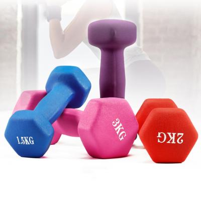 China Wholesale Plastic Dip In Dumbbell Cast Adjustable Barbell And Dumbbell Set Blue Red Green Color Plastic Dip In Dumbbell for sale