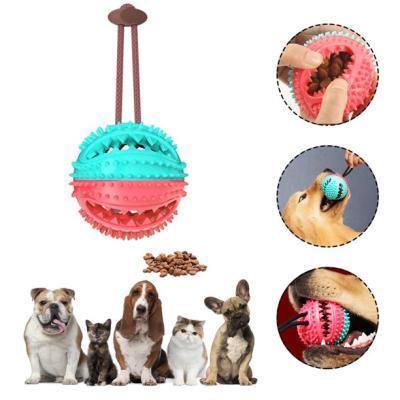 China Double-Layer Viable Molar Toothbrush Bite-Resistant Dog Toy Leaking Device Dog Bell Voice Ball For Medium Large Chew Toy for sale