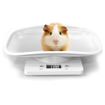 China ABS 22lb Small Farm Animals Chicken Cat Dog Bird Mouse Electronic Pet Weighing Animal Weight Scale for sale