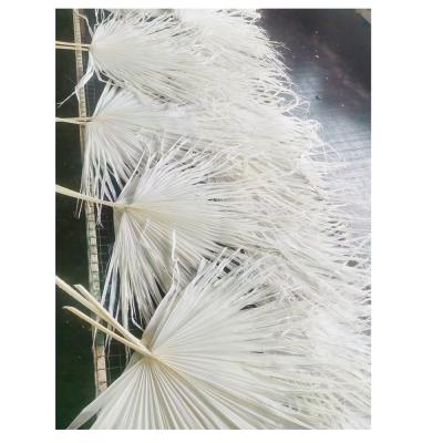 China 2022 natural touch boho style flower plant supplies real popular natural dry palm leaves decoration for sale