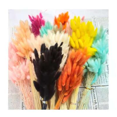 China Gift Wholesale Ins. Roll Up Small Fresh Pink Rabbit Tail Grass For Home Decoration for sale