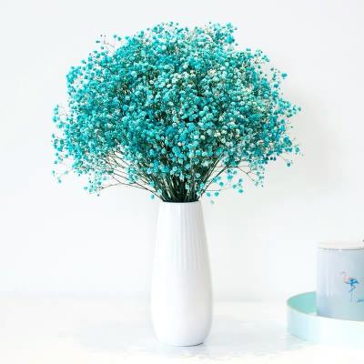 China Fashional Gift Factory Wholesale Preserved BabysBreath Flowers For Home Decoration for sale