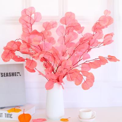 China Boho Decor DIY Natural Dry Flower Eucalyptus Garland For Flower Bouquet Or Festival Decoration for sale