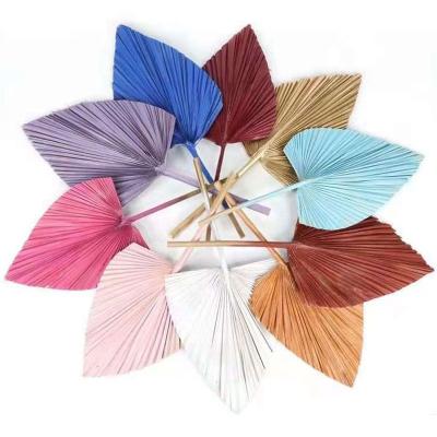 China Factory direct sale colorful dry palm leaves realistic painting leaves for home decoration for sale