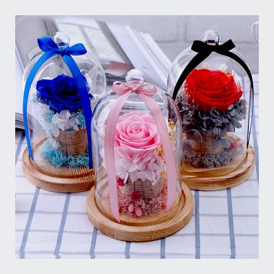 China Natual Contact Instagram Fashion Natural Eternal Real Preserved Rose In Glass Dome for sale