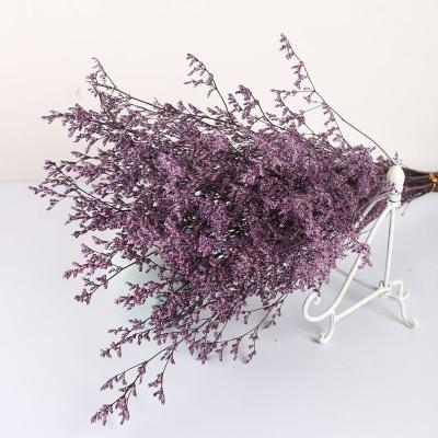 China Limonium Preserved Limonium Flower Stabilized Limonium Flower Bouquet for Wedding Decoration for sale