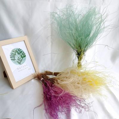 China Homedecor Preserved Feathery Stipe Grass Feather For Brides Christmas Flower Bouquet 30-35cm for sale