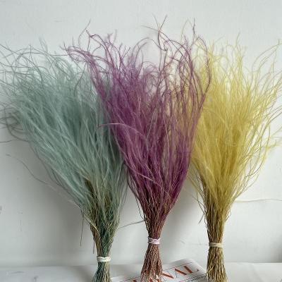 China Bohostyle Homedecor Preserved Feathery Stipe Grass Feather For Brides Flower Bouquet 30-35cm for sale