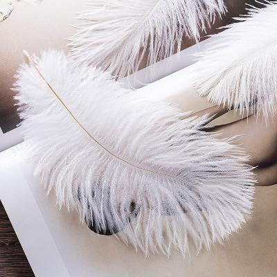 China Beautiful Beautiful Wholesale High Quality Artificial Ostrich Feather For Home Decor for sale