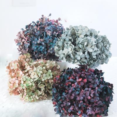 China Environmental protection North-Europe style green hot sale preserved hydrangea flower for art bouquet decoration for sale