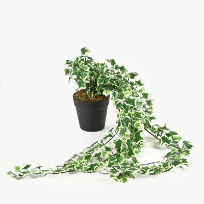 China Snake Plants Casual Foliage Wall Long Artificial Hanging Plants for sale