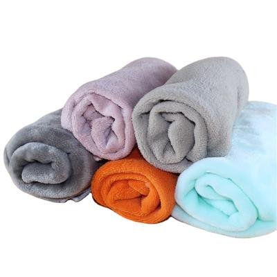 China Non-Toxic Pet Blanket Super Soft Warm Coral Fleece Kennel Cat And Dog Blanket for sale