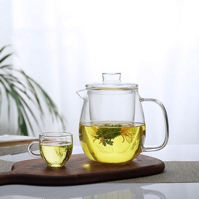 China Hot Selling 500ml High Viable Borosilicate Glass Heat Resistant Transparent Teapot With Infuser for sale