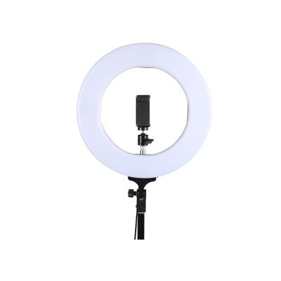 China Hot Seller 60W 336 LED Color Adjustable Tempurate Remote Control Dimmable 210cm 14 Inch Ring Light With Tripod Stand for sale