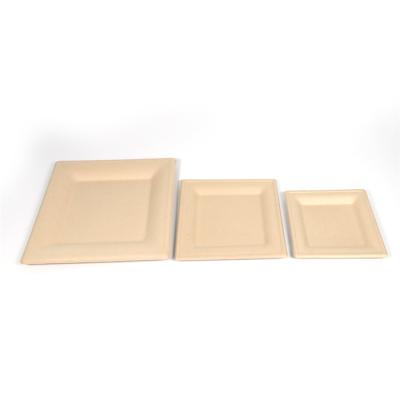 China 2021 Disposable Durable And Stable Performance Environmentally Friendly Degradable Disposable Tableware for sale