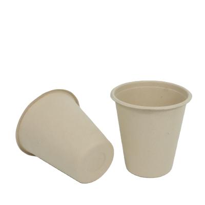 China Wholesale Price Biodegradable Customizable Disposable Cup Manufacturer For Food Packaging for sale