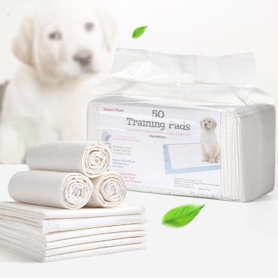 China Hot Sales Viable Dog Cat Diapers Manufacturer Online Breathable Disposable Pet Pads for sale