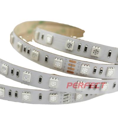 China Warehouse Light Strips Item Type And Flex LED Strips Type 5050 RGB for sale