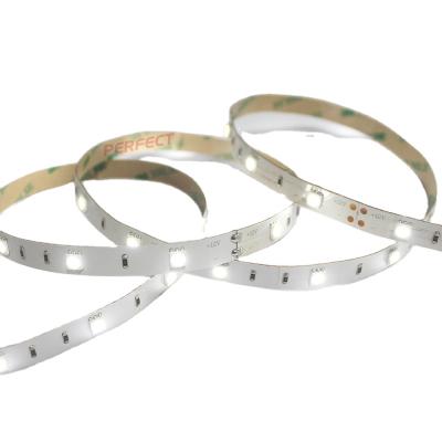 China Smart Digital Color LED Strip 24V LED Pixel Dream Light Programmable 5050 Desktop 30 LED Strip Light for sale