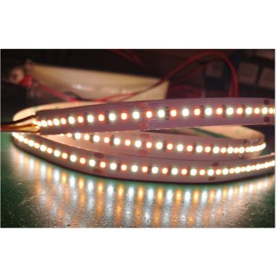 China Desktop CRI 90/95 Adjustable Ra SMD 2216 TDC LED Strip Cool White 24V Warm White 240leds/m for sale