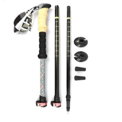 China Hot Sale High Quality Professional Lightweight Aluminum Hiking Pole YM3-E9 Walking Pole Hiking Pole-Telescopic with Flip Lock for sale