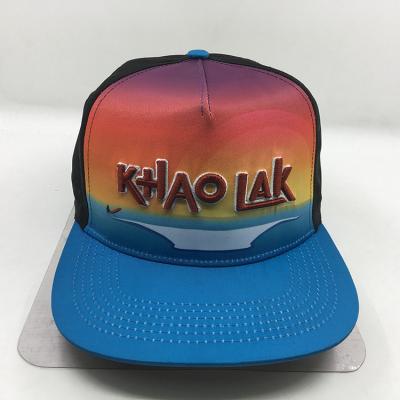 China COMMON Custom Logo 3D Embroidered Hat Polyester 5 Panel Plain Snapback Hat for sale