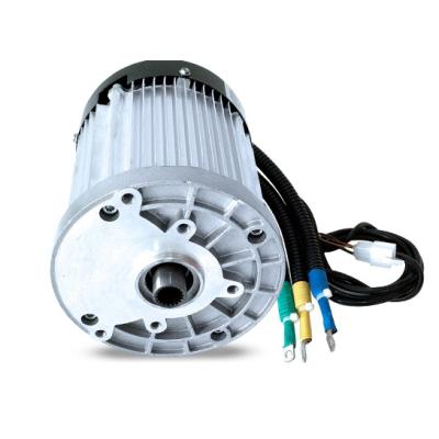 China China Factory Supply Cheap Electric Bicycle Cargo Vehicle Adult E Tuktuk Brushless DC Motor Drip Proof for sale