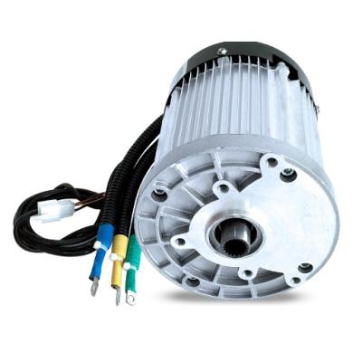 China best quality drip-proof most efficient new design tricycle electric car 4 wheeler BLDC motor for sale