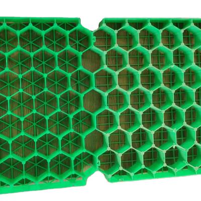 China Modern precision industrial grade lawn plastic gravel grate paving grass paver grate for parking lot for sale