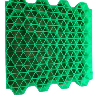 China Good modern wholesale cheap hot sale technology production grass grid for sale