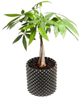 China Plant Minimalist Plastic Root Growth Control Device Air Pruning Pot Fast Root Grow Container for sale