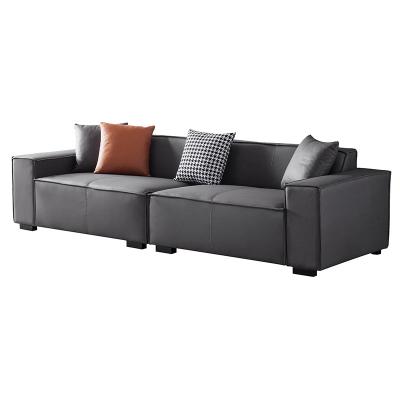 China The other AJJ DX-203 Nordic modern minimalist light living room latex sofa luxury straight combination for sale