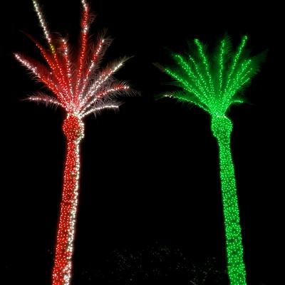 China Europe Matrix program christmas landscape outdoor decoration IP67 led pixel rgb coconut palm tree dmx512 string light for sale