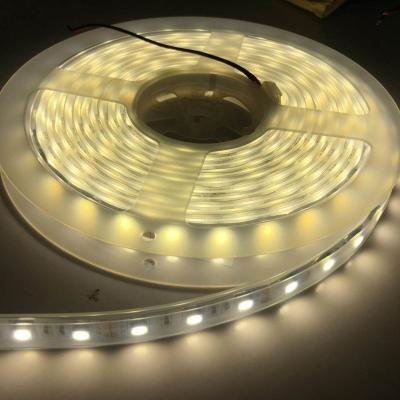 China High Quality IP67 IP68 Outdoor Decoration LED Strip Light DC12V/24V 5050 60leds Wholesale for sale