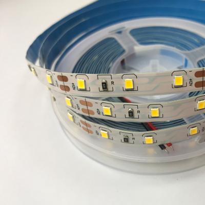 China Residential LED Waterproof IP20/IP65/IP67/IP68 Rosh 2835 CE Listed White/Warm White DC12V High LumenLed Strip Lights for sale