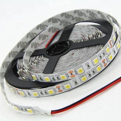 China Hotel flexible light 60 LED DC12V 5050 smd led strip IP65 for truck decoration for sale